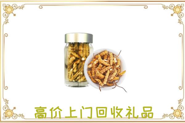 梅州市周边回收虫草